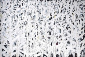 White earth - pine tree, 1995