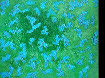 On the grass, 2023