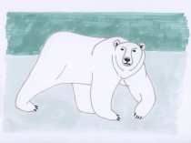 Niedzwiedź polarny I, 2024