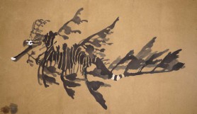 Pławikonik Australijski | wersja ZEN, 2021