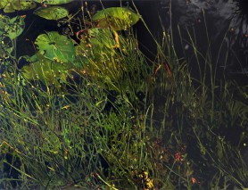 Mikroprzestrzeń II, 2022