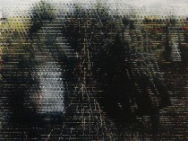 W polu IV, 2015