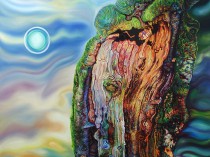 Drzewostan II, 2019