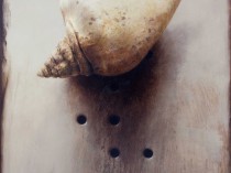 Instrument 11, 2024