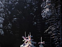 Mikroprzestrzeń pejzażu XXVIII, 2025