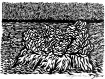 Casiglioncello, 2012