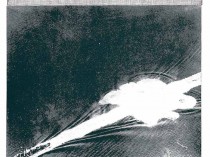 Hunting, from the series “Battle Landscape”, 2008