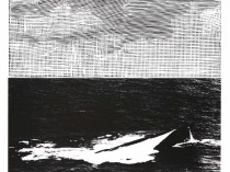 Sunken, from the series “Battle Landscape”, 2008