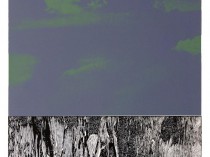 Kaboom!, from the series “Battle Landscape”, 2009