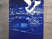 Śląski gołąbek, 2014