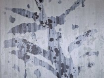 80/18, 2018