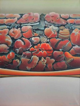 Agresja czerwieni, 1979