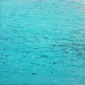 Isla Catalina, 2016