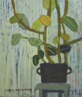 Kwiaty w garnku, 2017