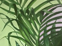 Plants no 3, 2017