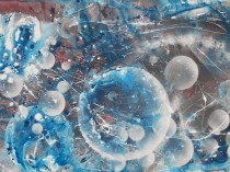 Cosmic cosmos, 2017