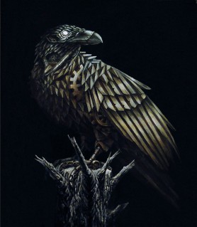 Kruk 3, 2017