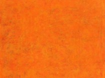 Taste of Orange, 2009