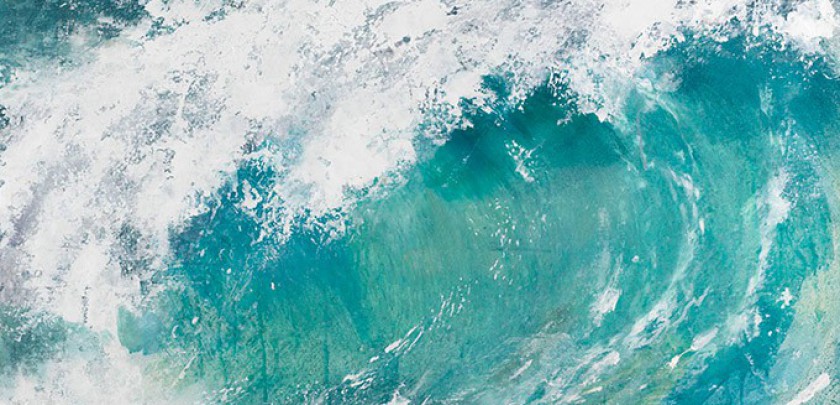 Aukcja wyprzedażowa